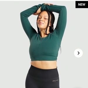ISO - Whitney Simmons Long Sleeve Crop Top